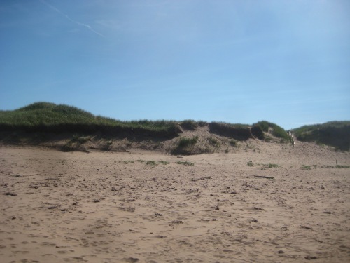 sand dunes pei beach