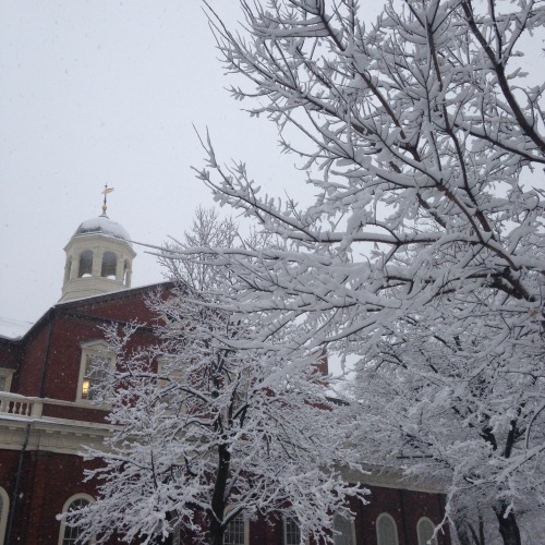 harvard hall snow trees winter