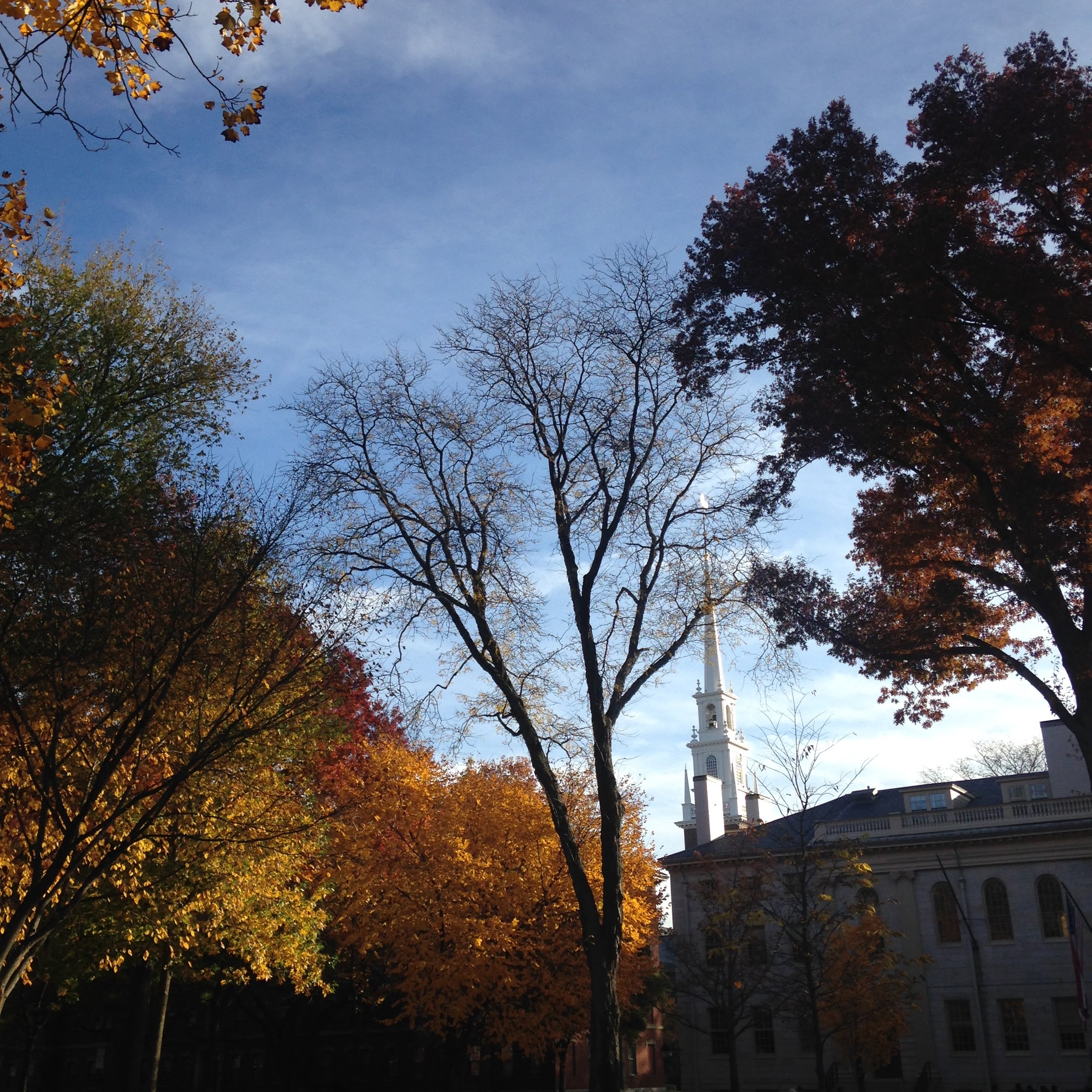 mem church leaves fall blue sky Harvard yard